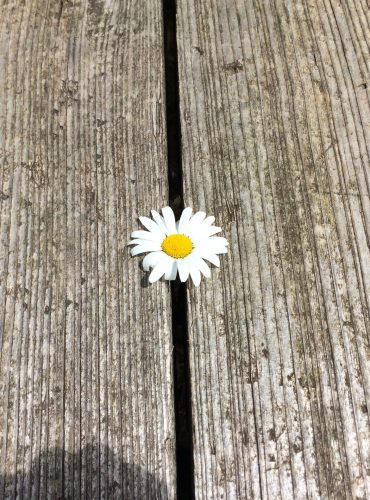 Life Coaching in Essen, NRW, im Ruhrgebiet